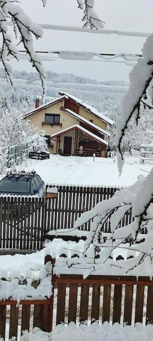 Cottage In Traditional Village Bradulet, Arges County מראה חיצוני תמונה